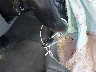 WBADT63472C****** Salvage 2002 BMW 5 Series in New York State