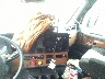 3AKJHHDR4MS****** Salvamento 2021 Freightliner New Cascadia 126 en Estado de Ohio