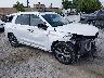 KM8R5DHE4MU****** Salvamento y Destrozados 2021 Hyundai Palisade en Bowling Green