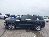 5XYRG4LCXNG****** Salvamento 2022 Kia Sorento
