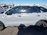 5XYRL4JCXSG****** Salvage 2025 Kia Sorento