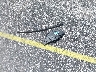 W1N4N4GB9MJ****** Wrecked 2021 Mercedes-Benz GLA-Class in Florida State