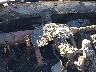 JTEEP21A370****** Salvage 2007 Toyota Highlander in High Desert