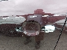 5XYKW4A29DG****** Wrecked 2013 Kia Sorento