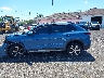 3VVMR7RM3SM****** Repairable 2025 Volkswagen Tiguan in New York State