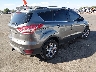 1FMCU9G97EU****** Salvamento y Destrozados 2014 Ford Escape en Estado de Utah