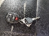 1GNKVHKD2HJ****** Salvage 2017 Chevrolet Traverse in Maine State