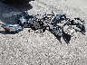 1GNKVHKD2HJ****** Wrecked 2017 Chevrolet Traverse in Maine State