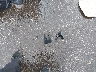 5TDJZRFH2HS****** Wrecked 2017 Toyota Highlander in Minnesota State
