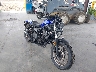 MLHPC5604P5****** Salvamento y Destrozados 2023 Honda Rebel 500 en Rec Rides Online Exclusive