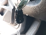 1GNERFKW7LJ****** Salvage 2020 Chevrolet Traverse in Texas State