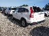 5J6RE38529L****** Salvage and Repairable 2009 Honda CR-V in Springfield