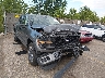 1FTEW2LP7SK****** Salvage 2025 Ford F-150 in Colorado State