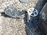 JTDKN3DU1A0****** Wrecked 2010 Toyota Prius in Iowa State