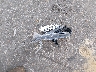 1HGCV1F31LA****** Wrecked 2020 Honda Accord in Mississippi State
