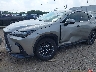 2T2GGCEZ6PC****** Salvage and Repairable 2023 Lexus NX 350 in Texas State