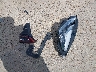 5YJYGDEEXMF****** Destrozados 2021 Tesla Model Y en Estado de Texas