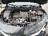 1G1ZG5ST4PF****** Repairable 2023 Chevrolet Malibu in Austin North