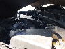 1GCPYFED1KZ****** Reparables 2019 Chevrolet Silverado 1500 en Albany