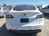 7SAYGAEE6PF****** Wrecked 2023 Tesla Model Y