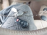 1C3EL55U41N****** Salvage 2001 Chrysler Sebring in North Carolina State