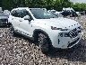 5NMS4DAL6NH****** Salvamento y Destrozados 2022 Hyundai Santa Fe en Nashville