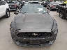 1FA6P8AM6H5****** Destrozados 2017 Ford Mustang en Estado de Texas