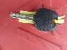 JTJHF10U110****** Salvage 2001 Lexus RX in Wisconsin State