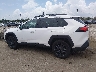 2T3J1RFV3RW****** Salvage 2024 Toyota RAV4