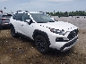 2T3J1RFV3RW****** Salvage and Wrecked 2024 Toyota RAV4 in New Orleans East