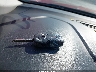 3FA6P0HR8DR****** Salvage 2013 Ford Fusion in California State