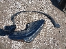 5J8YE1H05NL****** Wrecked 2022 Acura MDX in Illinois State