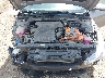 KMHLM4AJ4PU****** Repairable 2023 Hyundai Elantra in Corpus Christi