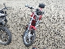 1HD1PBV121Y****** Used and Repairable 2001 Harley-Davidson CVO Dyna Wide Glide 2 in Oregon State