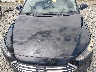5NPD74LF7JH****** Repairable 2018 Hyundai Elantra in Seattle