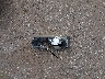 1D7HA18287J****** Wrecked 2007 Dodge Ram 1500 in Oklahoma State