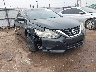 1N4AL3AP8GN****** Salvage and Wrecked 2016 Nissan Altima in Oklahoma City