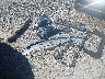 1GYKNDRS5MZ****** Wrecked 2021 Cadillac XT5 in Ohio State