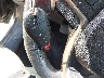 1C4PJMAB5GW****** Salvage 2016 Jeep Cherokee in Alaska State