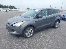 1FMCU0GX1DU****** Used and Repairable 2013 Ford Escape in Saint Cloud