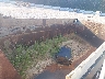 1M2GR2GC6LM****** Wrecked 2020 Mack Granite in Georgia State