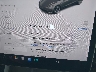 5YJ3E1EA8MF****** Used 2021 Tesla Model 3 in Florida State