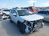 2T3C1RFV3SW****** Salvamento y Destrozados 2025 Toyota RAV4 en Austin
