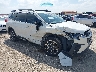 4S4WMARD6P3****** Salvage and Wrecked 2023 Subaru Ascent in San Antonio South