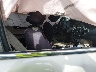1HGCR2F32DA****** Usados y Reparables 2013 Honda Accord en Estado de Massachusetts