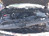 1GCUYHEL5MZ****** Repairable 2021 Chevrolet Silverado 1500 in Phoenix