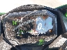 ML5ZXCS16RD****** Salvage 2024 Kawasaki Ninja ZX-4R in Fresno