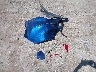 5NPD74LF9JH****** Wrecked 2018 Hyundai Elantra in Oklahoma State