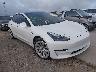 5YJ3E1EA4MF****** Salvage and Wrecked 2021 Tesla Model 3 in Electric Vehicle Auctions