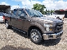 1FTEX1E8XHF****** Salvage and Wrecked 2017 Ford F-150 in Columbus